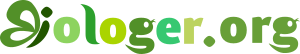 Blog Logo