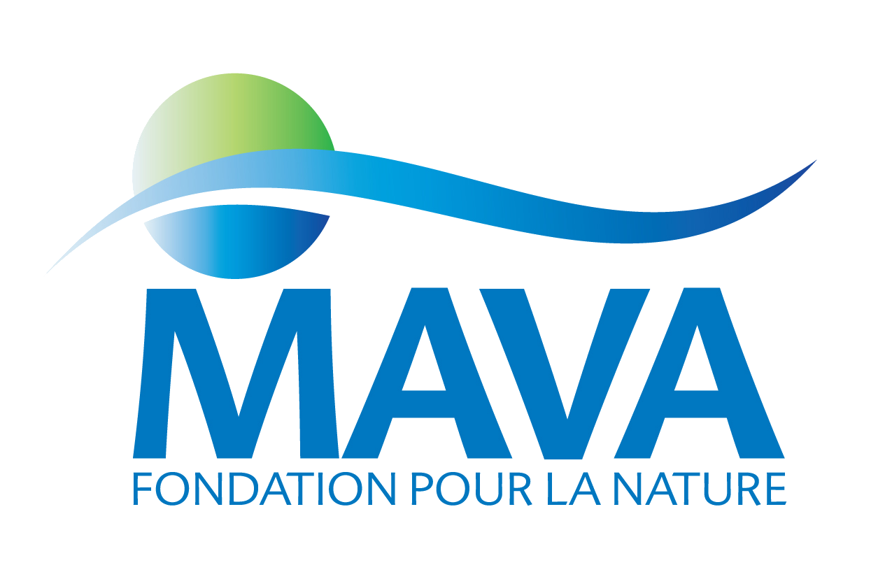 Mava (logo)